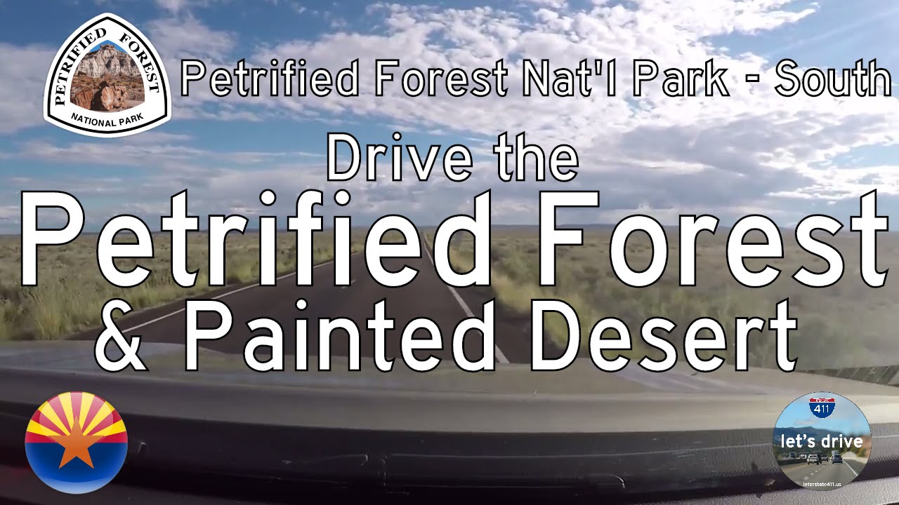 Petrified Forest Nat'l Park - South - Arizona | Drive America's Highways 🚙