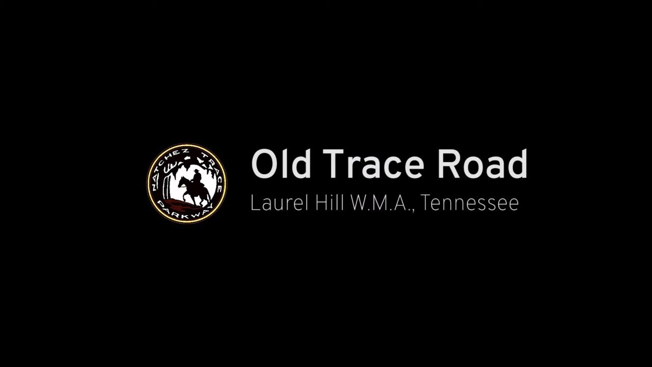 SHORT - Old Trace Road - Tennessee |  Drive America's Highways 🚙